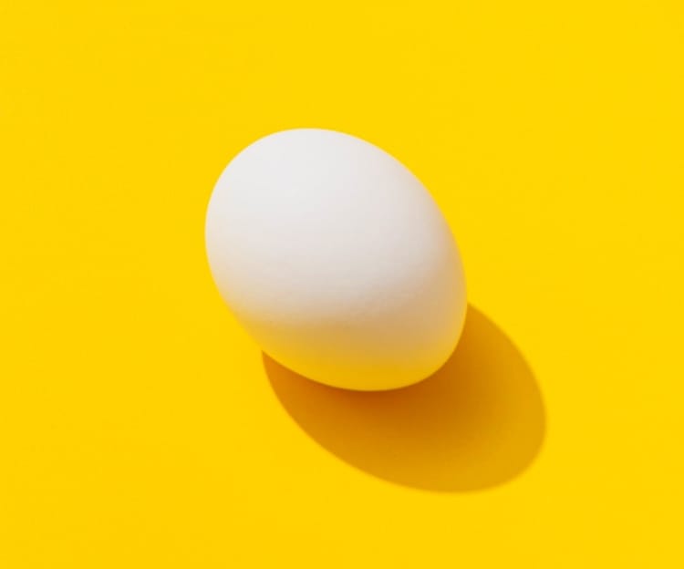 Egg with yellow background